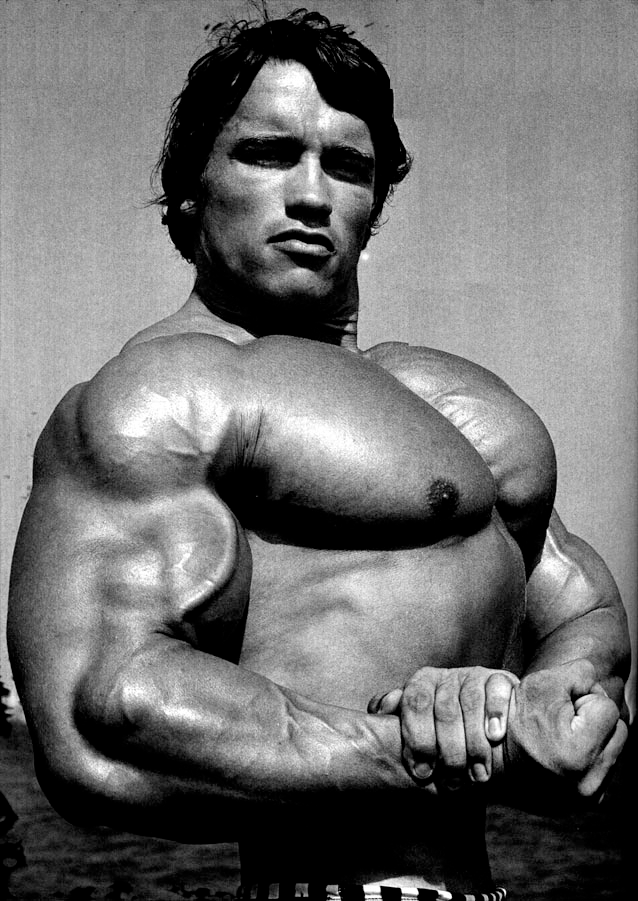 Arnold Schwarzenegger Bodybuilding