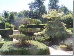 2008.07.22-005
