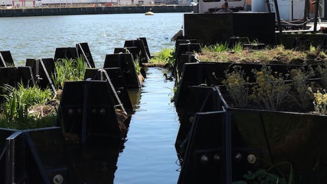 Rotterdam-jardín-flotante-creado-con-plástico-reciclado-de-ríos