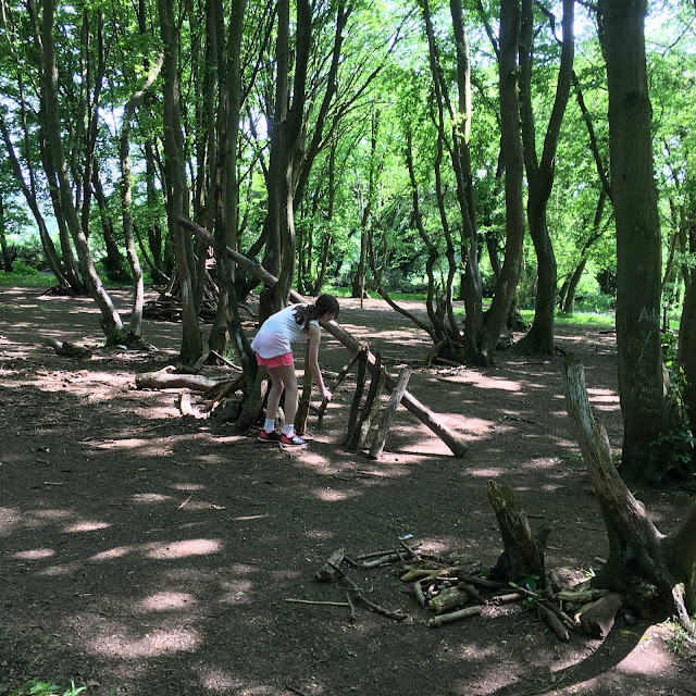 Sasha building dens in wood