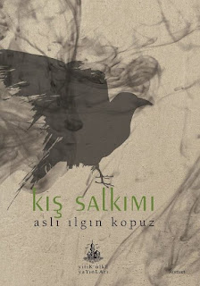 Kış Salkımı - Aslı Ilgın Kopuz 