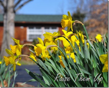wave of yellow