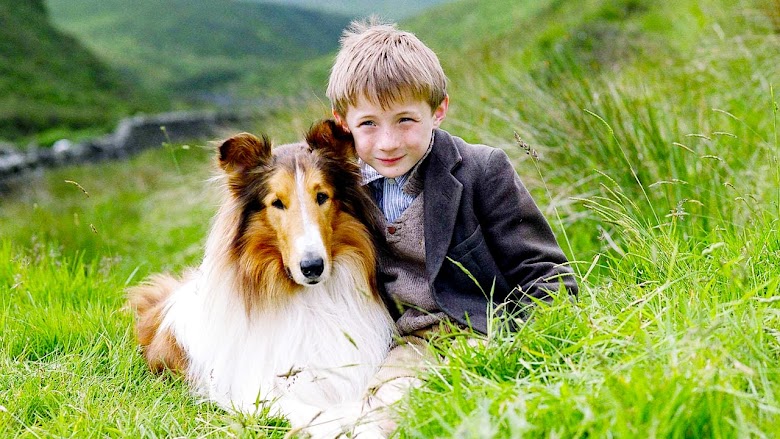 Lassie 2005 gratis