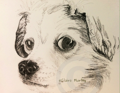 Pet portrait of a dog in graphite. Surrey, Kent, London, Sussex.