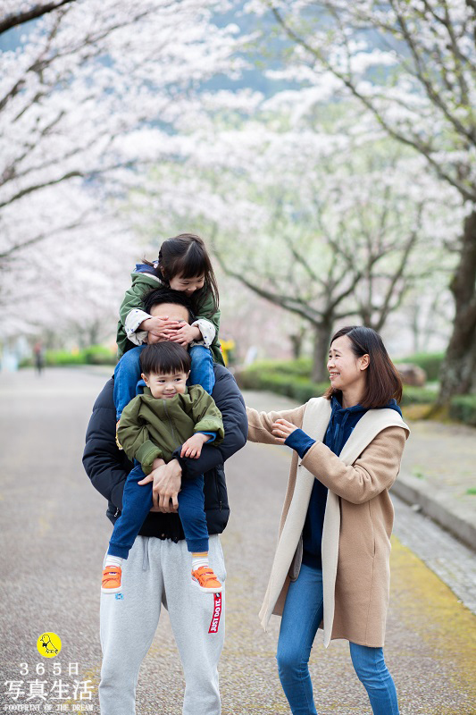 二年目の家族写真出張撮影桜ロケーションフォト in 京都