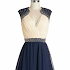 Beautiful Two Tone Party Dress