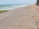 Togo grappling with coastal erosion and advancing coastline