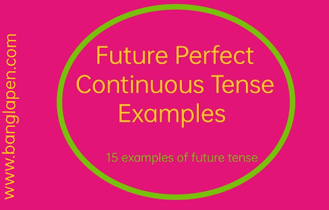 future perfect continuous tense examples