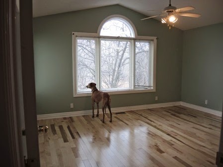 20141209_102305-br-remodel-bf-fu
