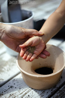 gardening craft