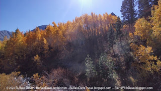 Fall Colors near Tioga Pass