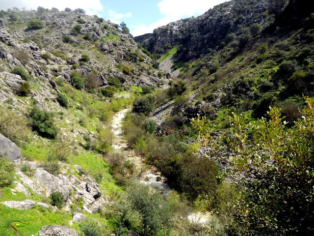 Circular a la Garganta de La Hoz desde Rute