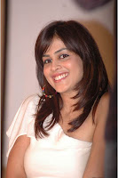 genelia hot thighs exposing on stage of katha audio launch @ iapics.in