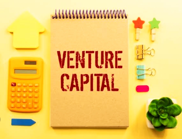 InsurTech Venture Capital (VC)