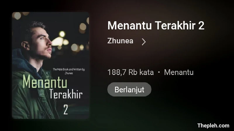 Novel Menantu Terakhir 2 Full Bab