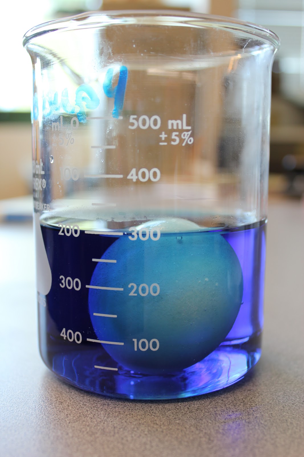 The Science Experience: Osmosis Egg Lab Part 1