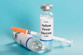 Yellow fever vaccine dose