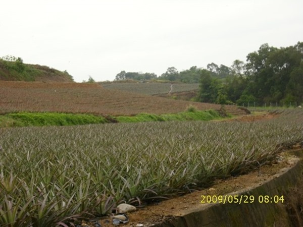 clip_image002