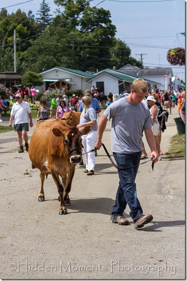Geauga Fair '14 20