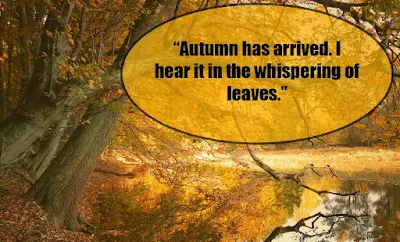 Autumn quotes - quotes about autumn