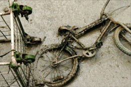 http://strype.ca/serious_accidents_bicycle_and_pedestrian_accidents.html