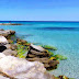 Kelibia-El Mansourah est reconnue comme la plus belle plage de toute la Tunisie