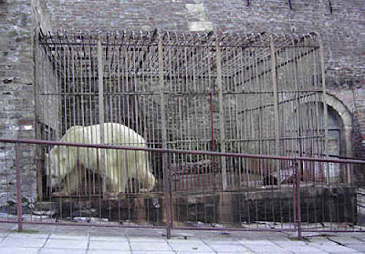 Pictures of Zoo Animals in Cages