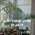 Plants For Unheated Sunroom