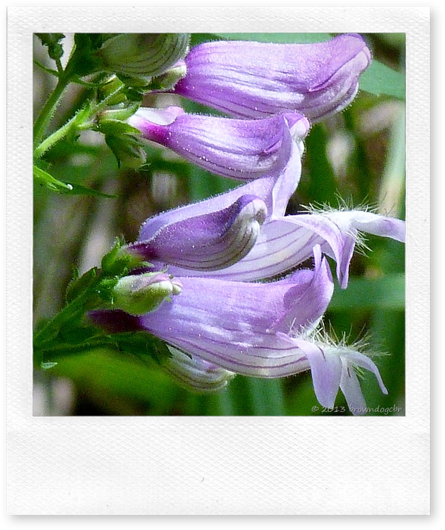 P1210730