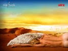 NipTuck TV Series Wallpaper 2