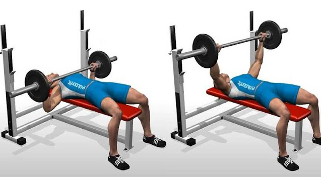 Bench Barbell Press