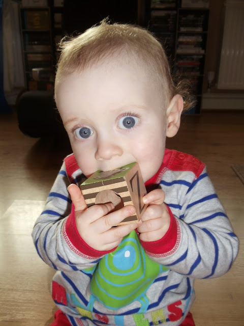 little boy sat up holding a wooden block to his mouth