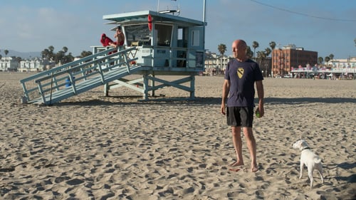 Desaparecido en Venice Beach 2017 en español latino