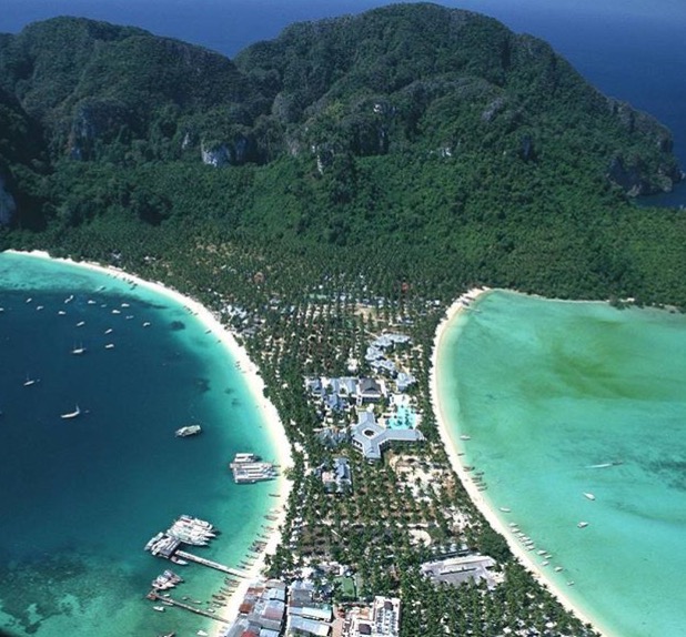 Availability on Koh Phi Phi in January