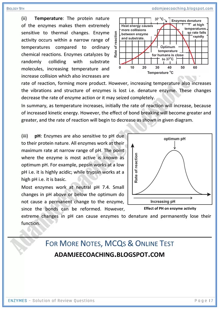 enzymes-review-question-answers-biology-9th