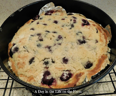 Sour Cherry and Mahleb Crumb Cake