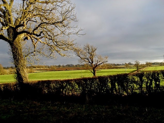 Monday walk - bright sunshine with darkening sky - beautiful effect