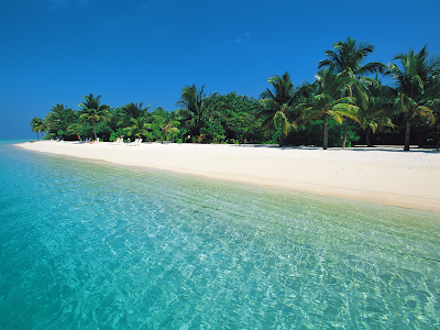 Beach Wallpaper on Tropical Summer Beach Wallpaper Png