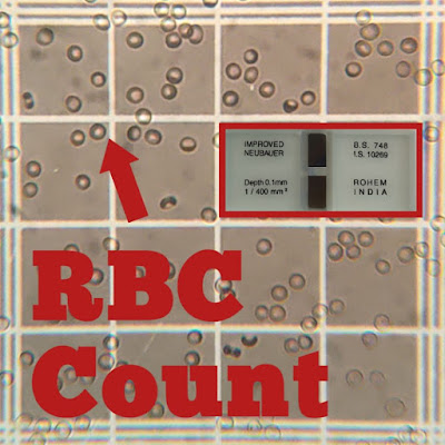 RBC COUNT