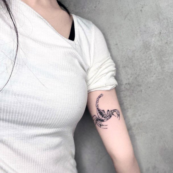 Tatuagens de animais - 140 ideias femininas