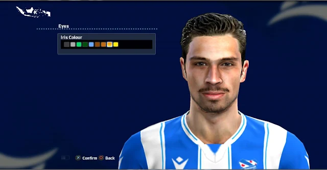 PES 2013 Thom Haye Face
