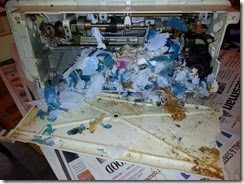 Carol-mouse-nest