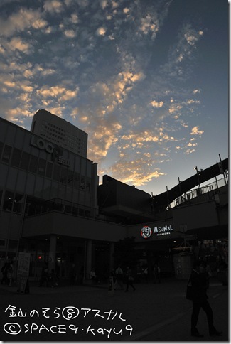 DSC_9579_177r
