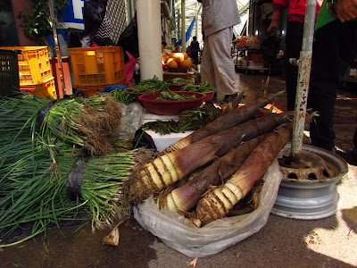 Pousses de bambous et ciboule. 오일장 marché des 5 jours coréens.