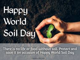 World Soil Day 2023: Wishes, Quotes, Messages, Captions, Greetings, Images