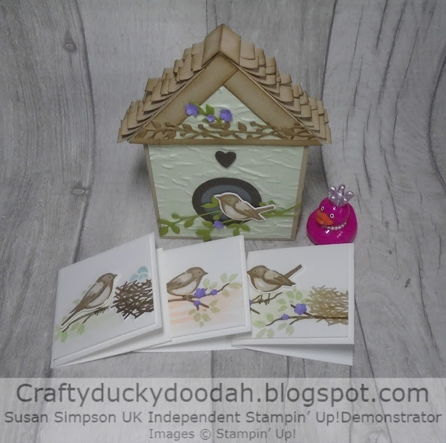 Craftyduckydoodah, Birds & Branches, Stampin' Up,  Class In The Mail,