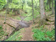 DSCN3688