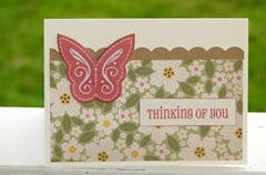mayberry butterfly