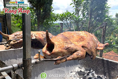 Kambing Guling Wado,Kambing Guling,