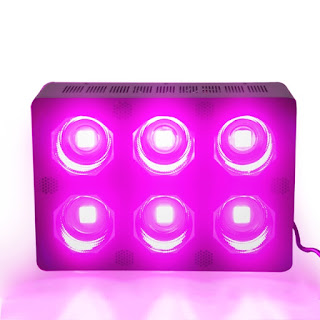 Full Spectrum Led Grow Lights 